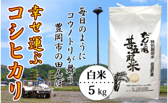 6位! 口コミ数「0件」評価「0」令和5年産 幸せ運ぶ コシヒカリ 白米 5kg 米 新米 特別栽培米 5キロ 精米 コメ こめ ご飯 ライス 兵庫県産 こしひかり