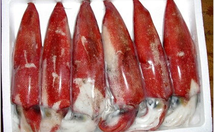 冷凍白いか 500g