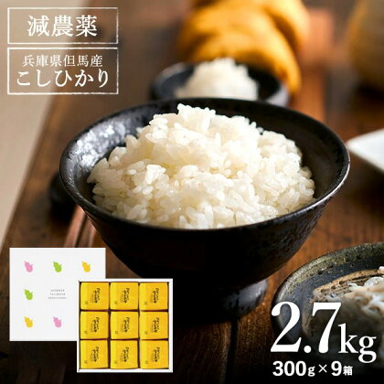 令和5年産 コウノトリ育むお米 2合 300g 9個入り（94-016） 減農薬 米 新米 お米 精米 白米