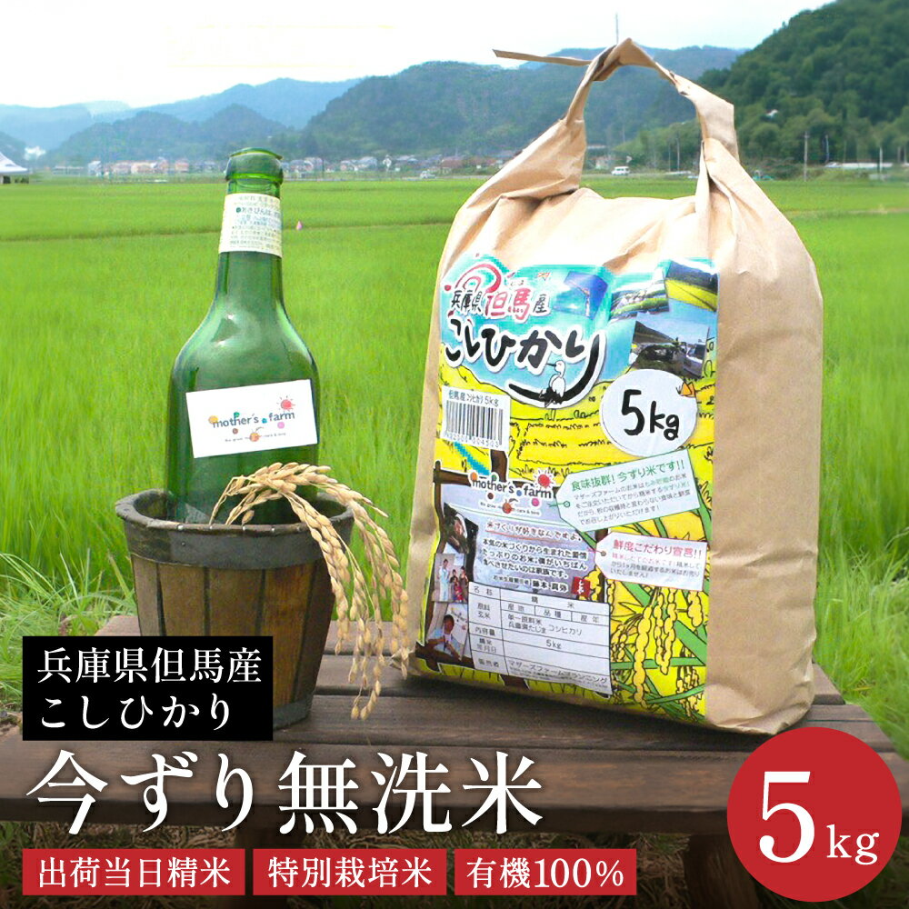 【ふるさと納税】無洗米 令和5年産 新米 減農薬 米 特別栽培米 今摺米 今ずり米 兵庫県但馬産コシヒカリ（白米）5kg 5キロ 米 お米 精米 白米 コメ こめ ご飯 ライス 新米 無洗米 (今ずり・無洗米)