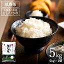 【ふるさと納税】コウノトリ育むお米減農薬 (5kg×1袋)(...