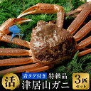 【ふるさと納税】【期間限定】活け津居山ガニ(800g～1000g)×3匹 / 国産 カニ 蟹 タグ付 ...