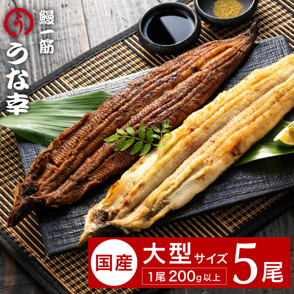 【ふるさと納税】特製タレ 山椒付き 大型5尾 鰻一筋「うな幸」のふわとろ蒲焼き3本、白焼き2本(“国産”大サイズ5本セット) / うなぎ ウナギ 鰻 蒲焼き 白焼き 5尾 タレ セット 真空パック レンジ