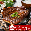 【ふるさと納税】特製タレ 山椒付き 大型5尾 鰻一筋「うな幸」のふわとろ蒲焼き(“国産”大サイズ5本入り) / うなぎ ウナギ 鰻 蒲焼き 5尾 タレ セット 真空パック レンジ