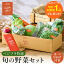 【ふるさと納税】旬の新鮮なお野菜を産地直送!ベジプラ特選 旬の野菜セット【選べる定期便 1回・ 4回・ 12回 】 / 野菜 詰め合わせ セット 野菜セット 新...