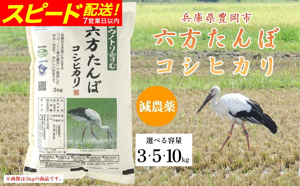 新米 六方たんぼ コシヒカリ 農薬不使用 白米:3kg