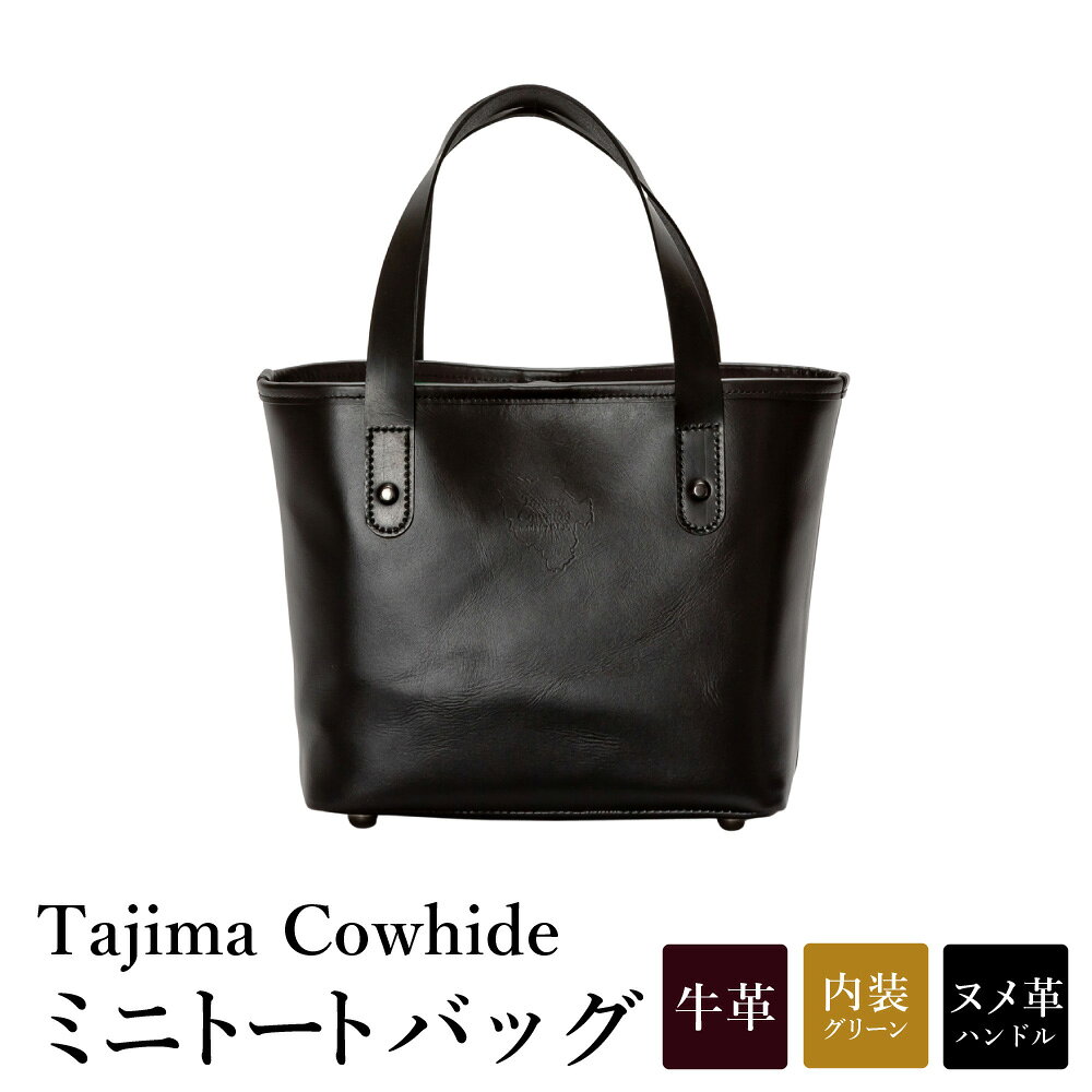 Tajima Cowhide ミニトートバッグ / 革バッグ ブラック メンズ レディース 軽量 約330g バッグ かばん カバン 鞄 黒 日本製 豊岡製 循環型ブランド タジマ カウハイド DLP