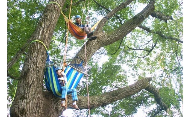 (神鍋高原)ロープで木登り ツリーイング 4名無料券