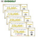 【ふるさと納税】ゴルフ フィッティング + カスタムクラブ チケット選べる額面5種類 33,000円分〜770,000円分 / クーポン券 ゴルフクラブ 制作 取扱いブランド多数 EPON RODDIO MAKINO クラブフィッター オーダーメイド OVD GOLF|詳細画像