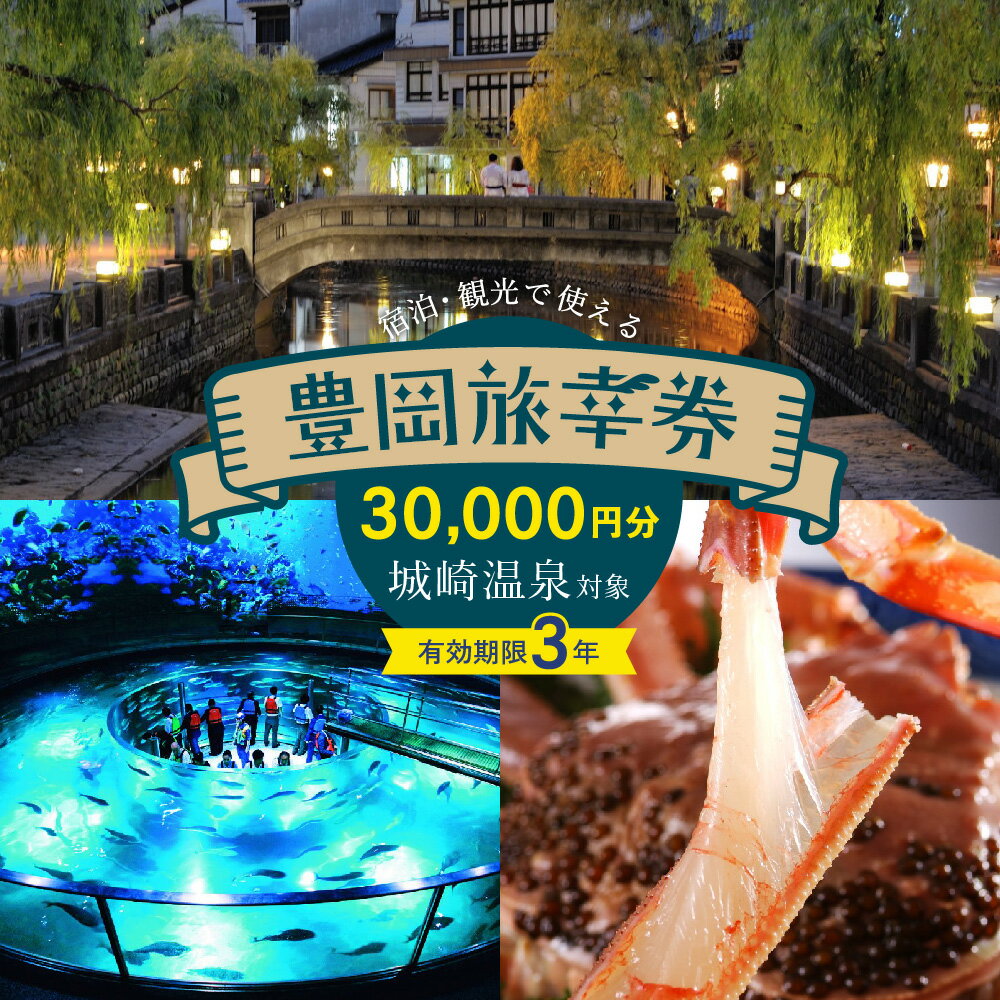 【ふるさと納税】豊岡市旅行クーポン 30,000円分 有効期