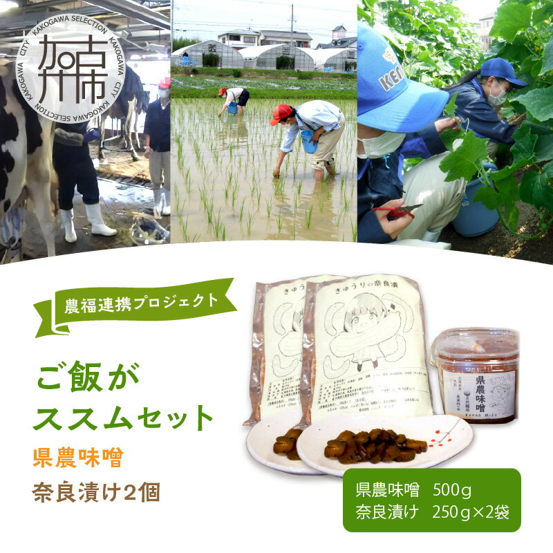 【ふるさと納税】「農(学)福連携プロジェクト」ご飯がススムセット　県農味噌・奈良漬け2個