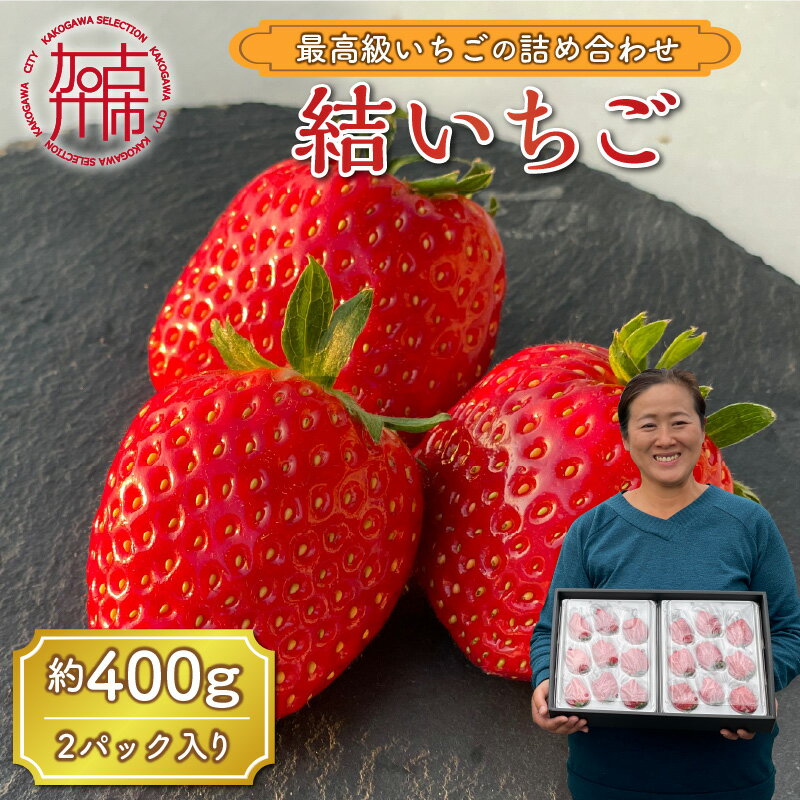 【ふるさと納税】結いちご(2パック入)《 いちご 大粒 苺 フルーツ 果物 加古川県産 フルーツ工房はたや ふるさと納税いちご イチゴ 高級 国産 送料無料 》のサムネイル