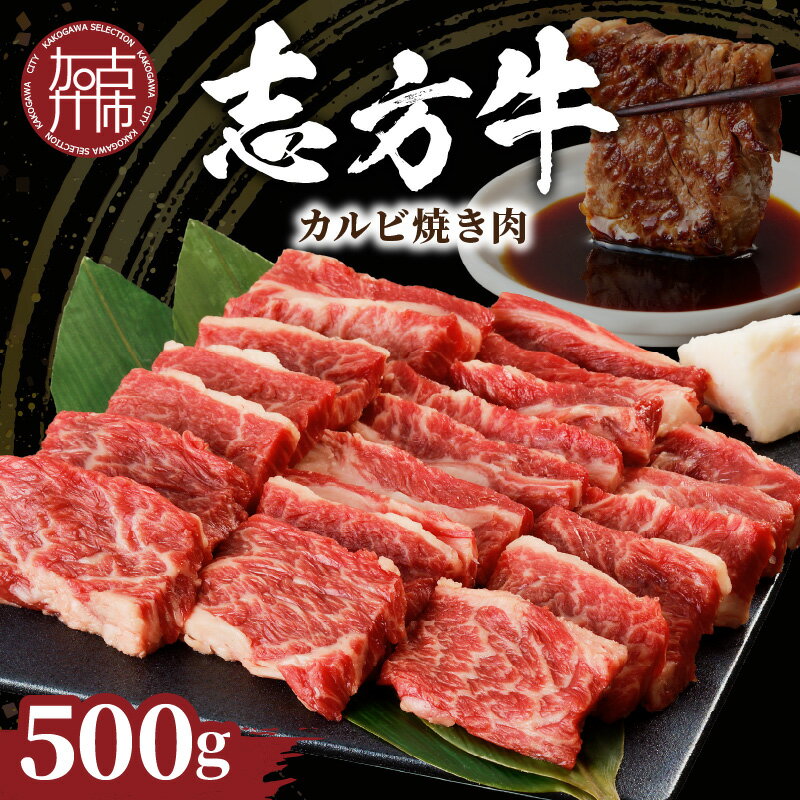 父の日 にも♪ ★選べる配送月★志方牛カルビ焼肉(500g)[ 牛肉 牛 和牛 国産 焼肉 おすすめ カルビ 赤身 美味しい バーベキュー 志方牛 送料無料 お取り寄せ 選べる 選べる配送月 選べる発送月 贈答用 ギフト プレゼント 贈り物 父の日 ]