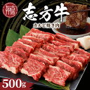 【ふるさと納税】【レビューキャンペーン】★選べる発送月★志方牛カルビ焼肉(500g)《 牛肉 牛 和牛 国産 焼肉 おすすめ カルビ 赤身 美味しい バーベキュ...