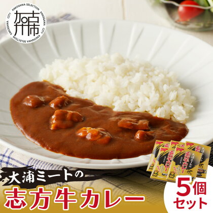 ★選べる配送月★大浦ミート特製 志方牛カレー 5個セット《 おすすめ カレー 人気 美味しい レトルト 牛肉 ビーフカレー セット 詰め合わせ お取り寄せ グルメ 送料無料 選べる 選べる配送月 》