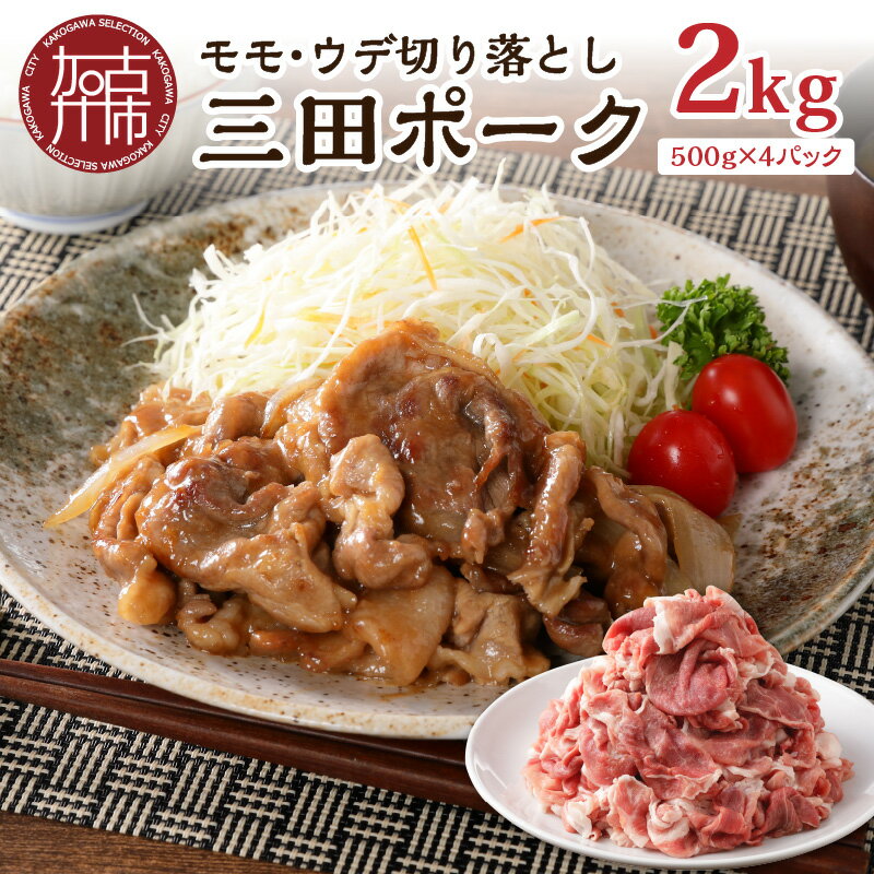 ★選べる配送月★三田ポーク もも・ウデ切り落とし 2kg(500g×4パック）《 豚肉 ふるさと納税 セット 小分け 切り落とし 簡単 便利 野菜炒め 豚丼 お取り寄せ お取り寄せグルメ 送料無料 選べる 選べる配送月 選べる発送月 》