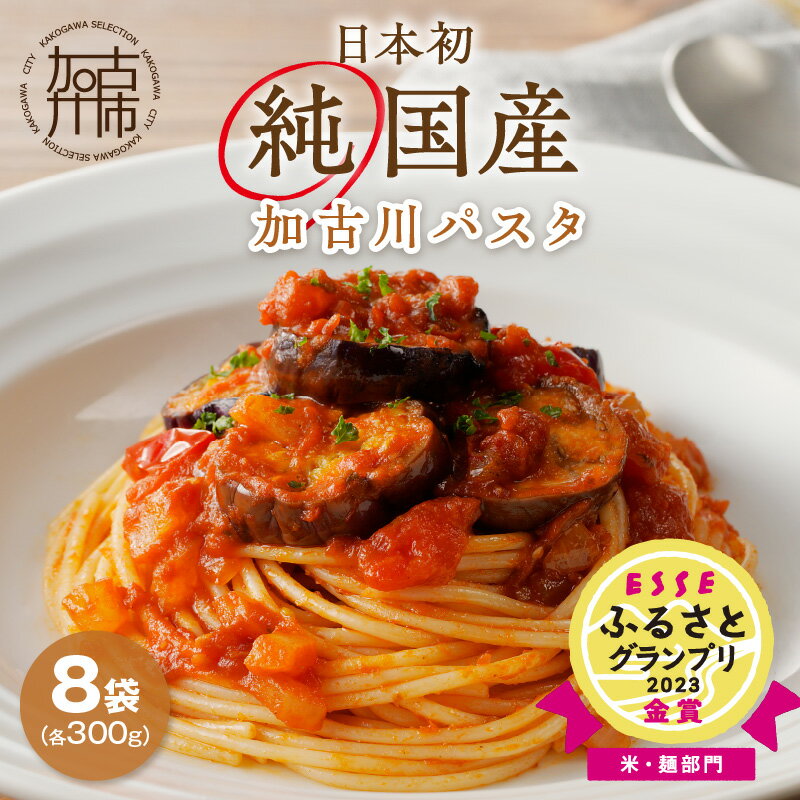 全国お取り寄せグルメ兵庫麺類No.1