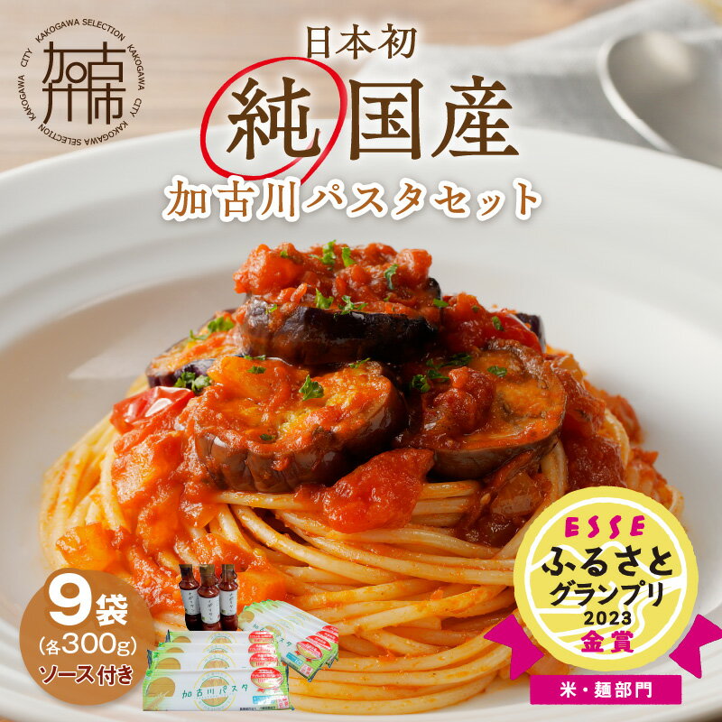 全国お取り寄せグルメ兵庫麺類No.3