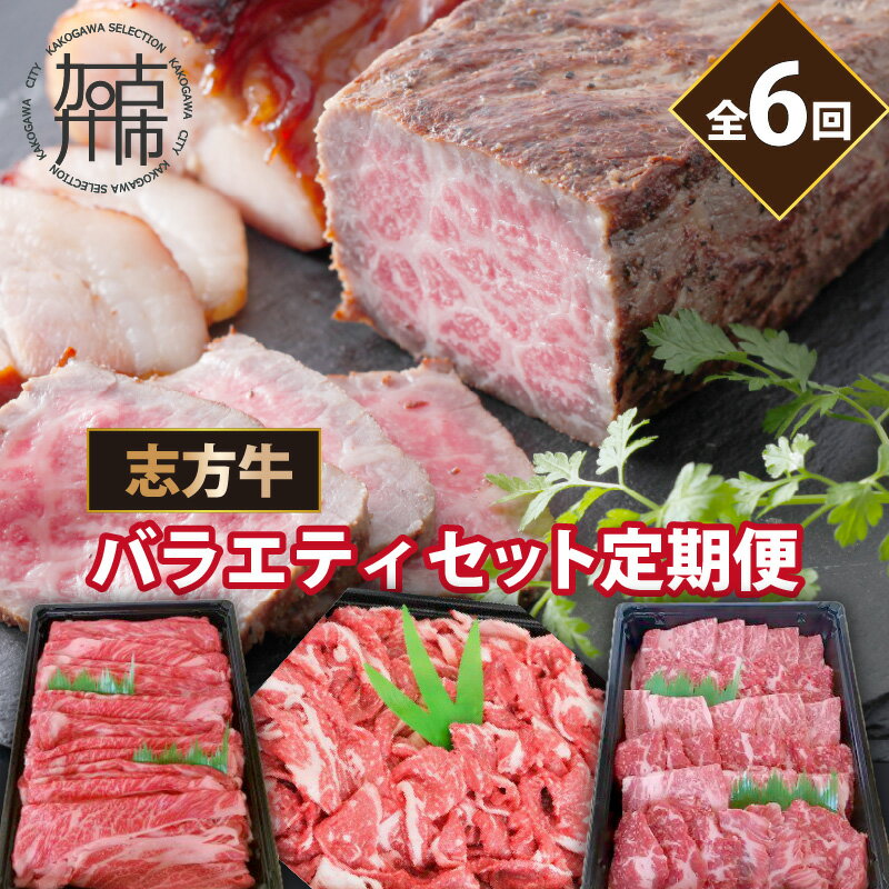 【ふるさと納税】志方牛バラエティセット(定期便全6回)《 定期便 肉 国産 牛肉 牛 国産牛 すき焼き 焼肉 ローストビーフ 焼き豚 お手軽..