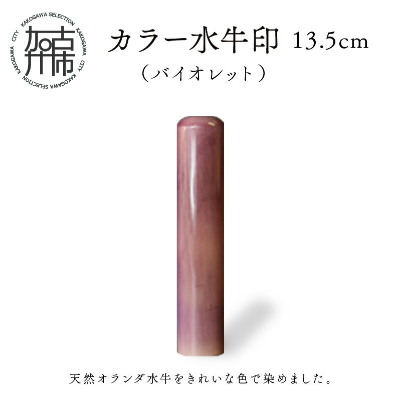 カラー水牛印【天然オランダ水牛】(バイオレット)13.5mm《 雑貨 印鑑 水牛 もみ革 水牛印 ケース付き 革 》