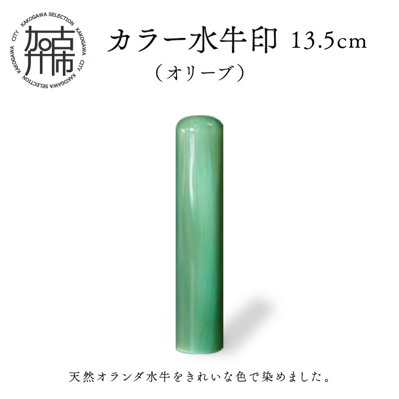 カラー水牛印【天然オランダ水牛】(オリーブ)13.5mm《 雑貨 印鑑 水牛 もみ革 水牛印 ケース付き 革 》