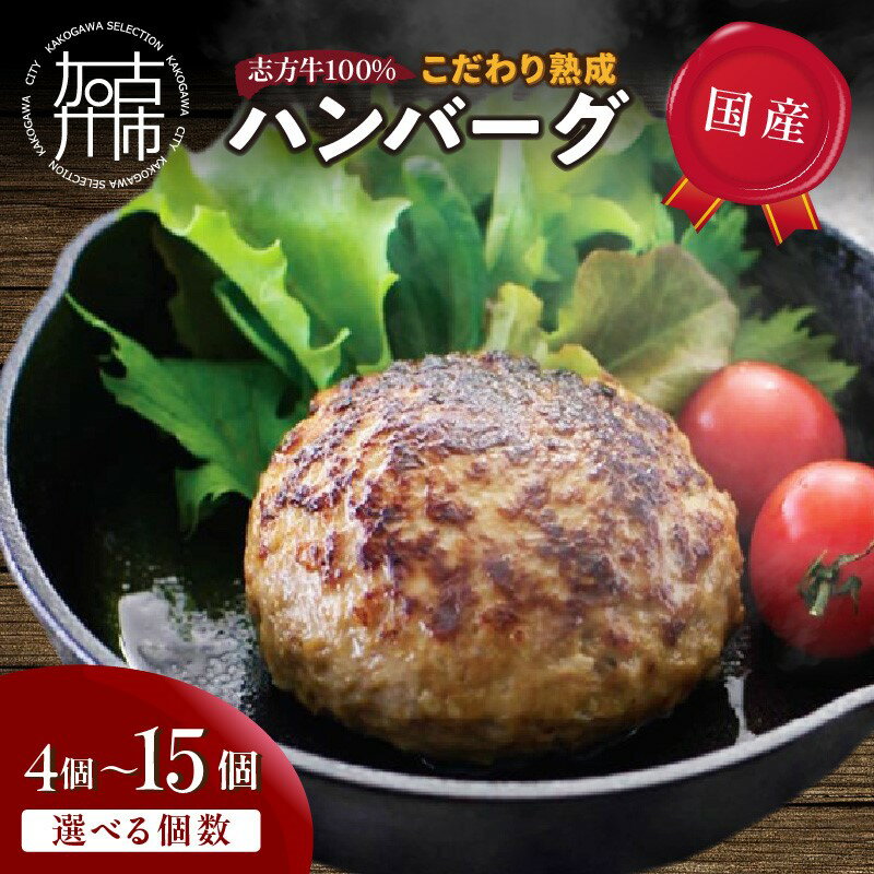 [国産]志方牛100%のこだわり熟成ハンバーグ 150g 4個 6個 7個 10個 12個 15個[ ハンバーグ 国産 牛肉 100% 牛 こだわり セット 冷凍 肉 惣菜 お取り寄せ グルメ おかず ギフト 送料無料 贈答用 ギフト プレゼント 贈り物 ]