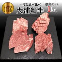 【ふるさと納税】★選べる配送月★大浦和牛焼肉セット(1kg)《 肉 牛肉 和牛 国産 焼肉 セット 1キロ ロース 赤身肉 タン ヘレ フィレ 4種 食べ比べ BBQ 選べる 選べる配送月 送料無料 楽天市場 》