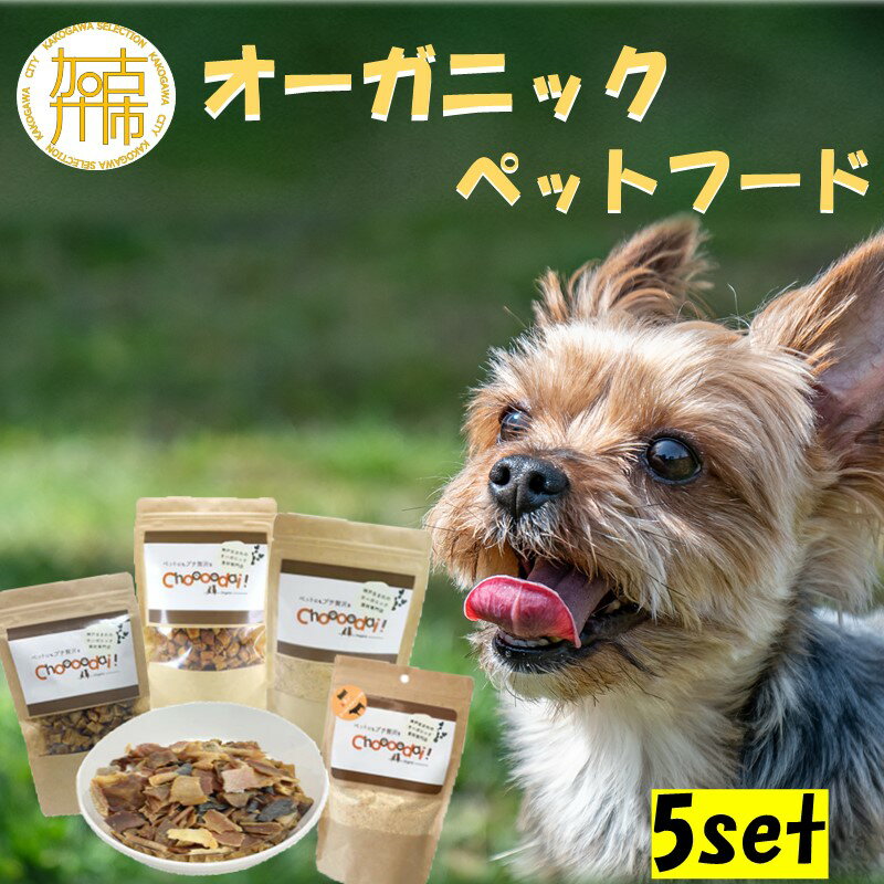 オーガニックペットフード ワンちゃんChoooodai!5点セット[ 犬 ペット ドッグフード 無添加 犬用品 送料無料 ]