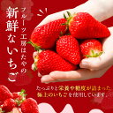 兵庫県加古川市の画像3