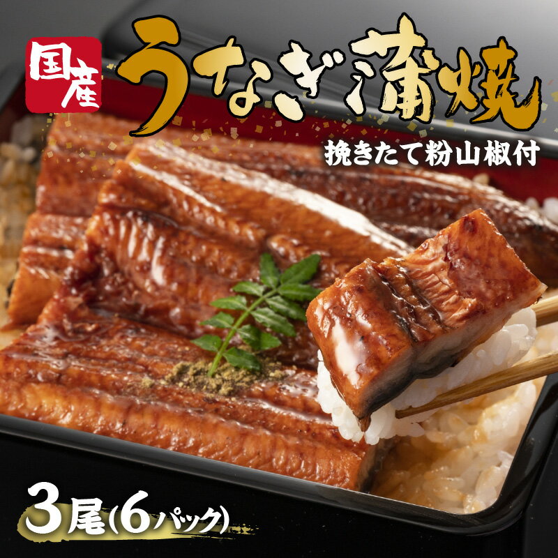 【ふるさと納税】鰻の蒲焼き3尾(6パック)たれ別・挽きたて粉山椒付《ふっくら 焼きたて うなぎ蒲焼き お茶漬け ひつまぶし》