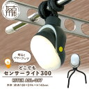 【ふるさと納税】RITEX ASL-097 どこでもセンサーライト300《 防犯 防犯ライト 乾電池式 LED センサーライト 非常灯 防犯 防犯グッズ 屋外 ...
