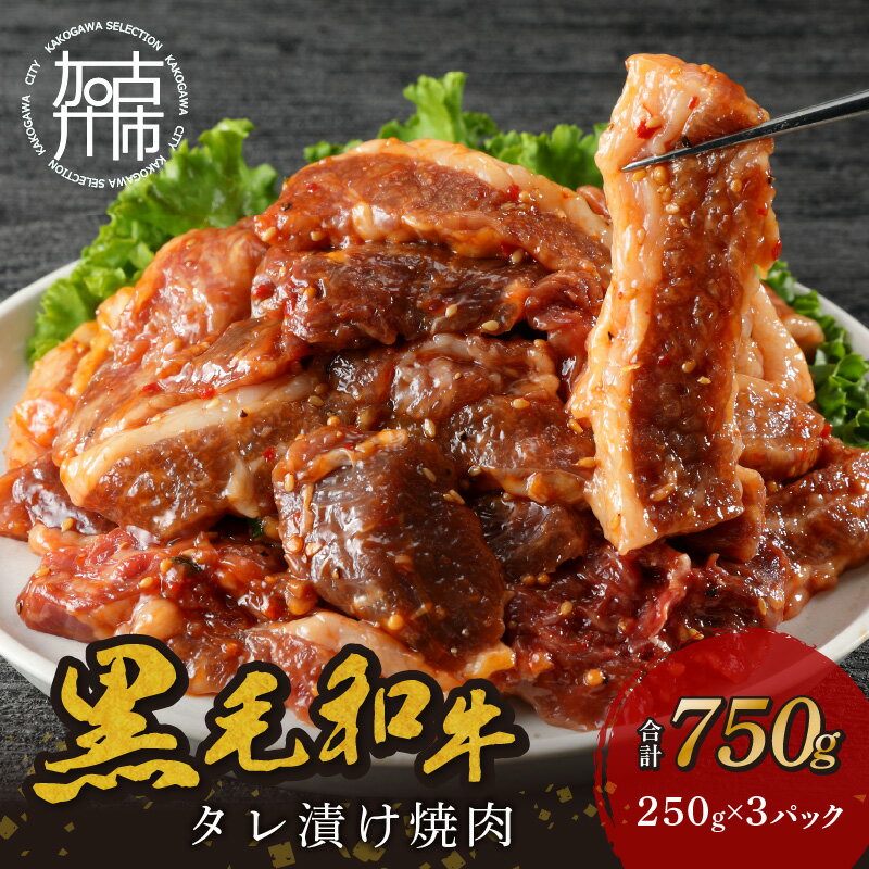 ミートマイスター厳選！黒毛和牛タレ漬け焼肉（薄味☆）250g×3パック 《 肉 牛肉 和牛 黒毛和牛 タレ漬け 味付き肉 焼肉 》