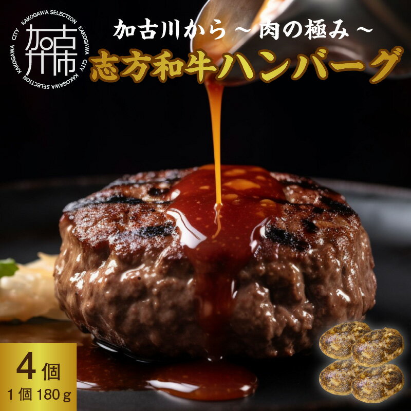 34位! 口コミ数「0件」評価「0」加古川～肉の極み～志方和牛ハンバーグ 《 志方和牛 和牛 和牛ハンバーグ ハンバーグ 総菜 おかず 調理済 真空パック 肉 肉汁 ビーフ 牛･･･ 