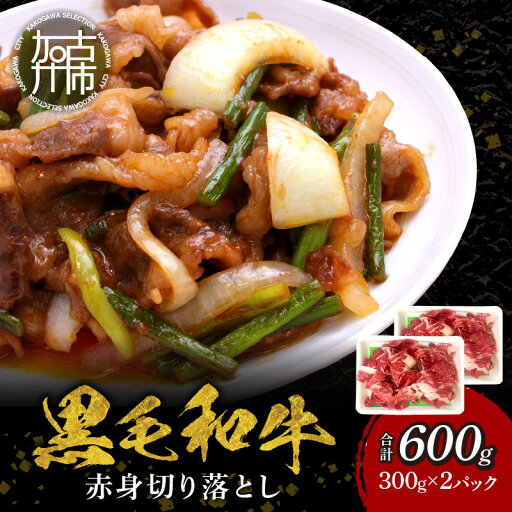 【ふるさと納税】【肉のまち かこがわ】黒毛和牛 赤身切り落とし スライス300g×2 《 黒毛和牛 和牛 牛肉 赤身 お肉 切り落とし スライス 牛肉 肉 国産牛 》 【ふるさと納税】【肉のまち かこがわ】黒毛和牛 赤身切り落とし スライス300g×2 《 黒毛和牛 和牛 牛肉 赤身 お肉 切り落とし スライス 牛肉 肉 国産牛 》