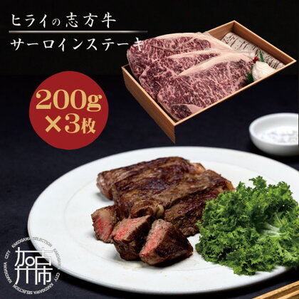 ★選べる配送月★志方牛サーロインステーキ 200g×3枚《 肉 牛肉 牛 志方牛 国産牛 サーロイン ステーキ ステーキ肉 選べる 選べる配送月 選べる発送月》