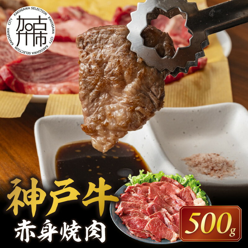 【ふるさと納税】 父の日 にも ★選べる配送月★神戸牛赤身焼肉 500g 《 肉 牛肉赤身 神戸牛 焼肉 国産 バーベキュー 和牛美味しい ギフト 赤身肉 お取り寄せ 送料無料 おすすめ 選べる 選べる配…