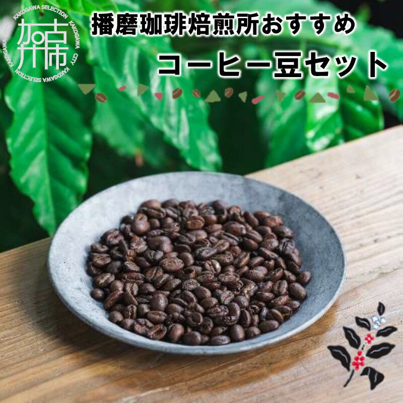 1位! 口コミ数「0件」評価「0」播磨珈琲焙煎所おすすめコーヒー豆セット 《 コーヒー 珈琲 焙煎豆 挽き豆 オリジナルブレンド セット 詰め合わせ 》