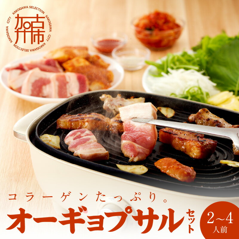 オーギョプサル(皮付豚肉)味噌、塩セット(2～4人前)《 肉 豚肉 豚 オーギョプサル 自家製キムチ 巻き野菜付き セット 》