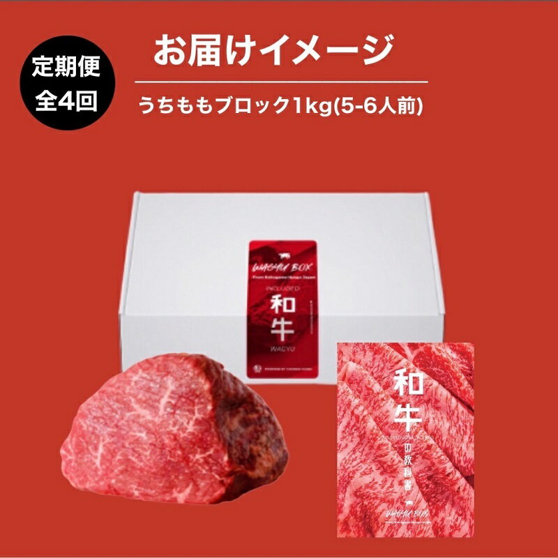 【ふるさと納税】WAGYU PROTEIN 定期便　4回分《 牛肉 お肉 肉 高タンパク 赤身肉 うちもも肉 ローストビーフ ステーキ おすすめ ギフト 贈答 プレゼント 定期便 》
