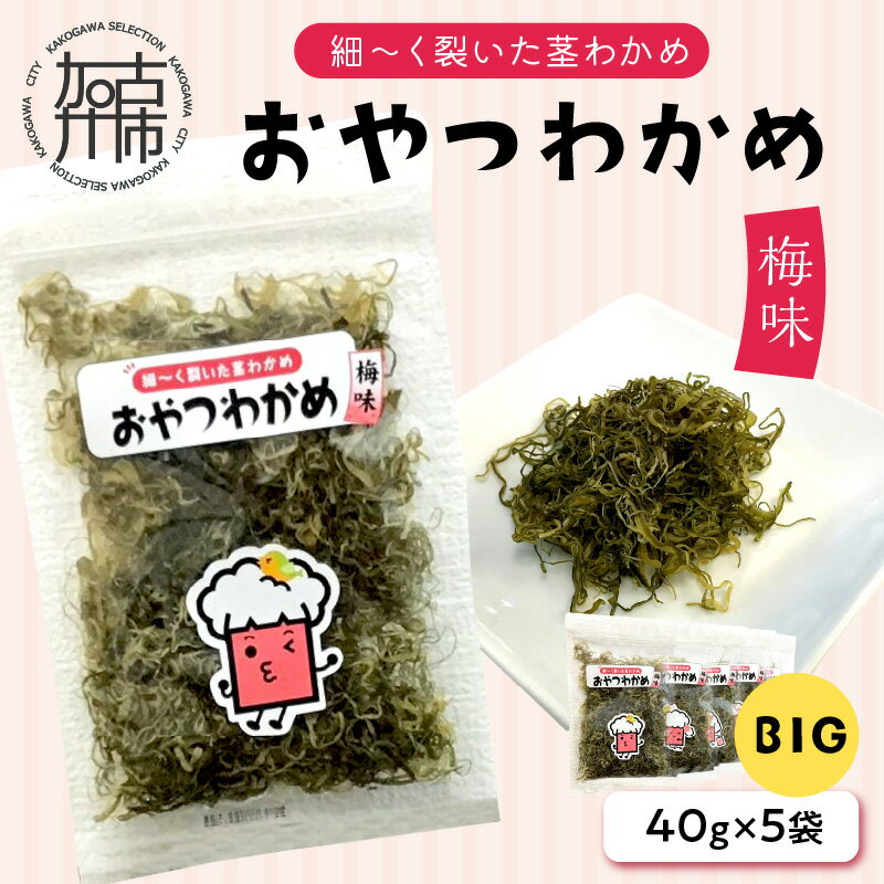 おやつわかめ梅味BIG 200g(40g×5) 《 海藻 わかめ ワカメ おやつ おやつわかめ おつまみ 珍味 茎わかめ ビックサイズ 》