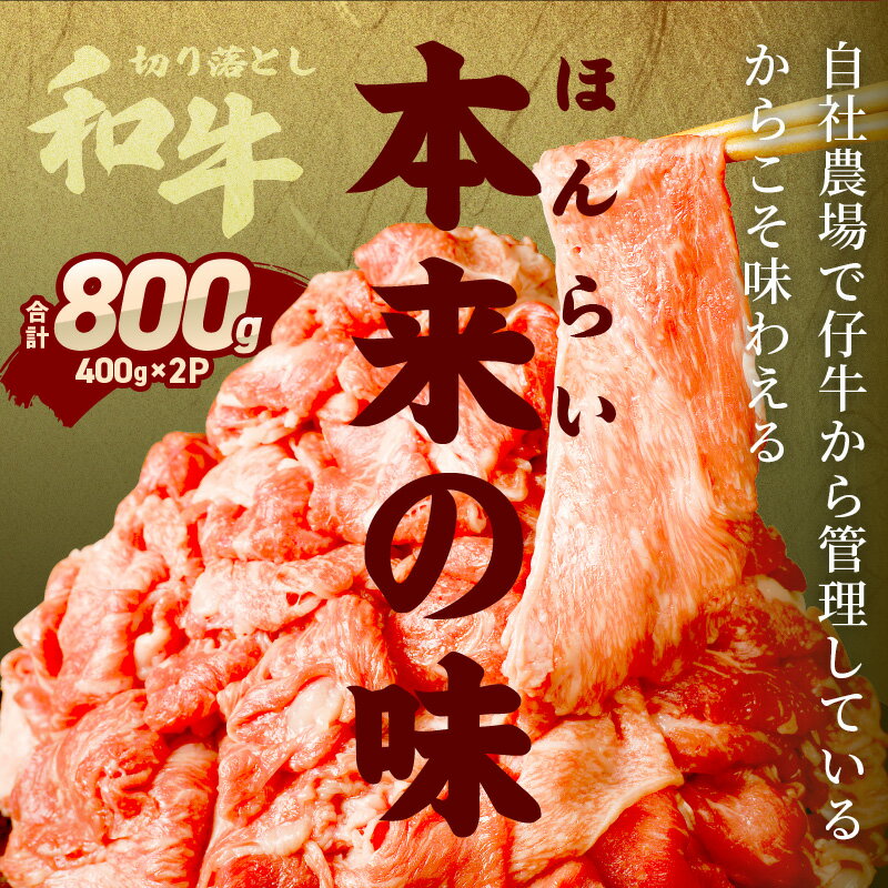 【ふるさと納税】【レビューキャンペーン】志方亭のお肉食べ比べ定期便【全3回】 和牛 切り落とし 牛タン タン ハラミ 焼肉 肉 牛肉 定期便 3回 おすすめ 食べ比べ 楽天ふるさと納税