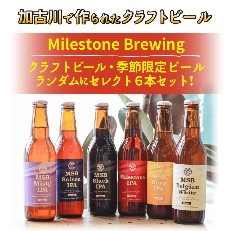 【ふるさと納税】オリジナルクラフトビールサプライズ6本セット《 おすすめ 酒 プレゼント クラフトビール ビールセット ビールギフト 飲み比べ 詰め合わせ お取り寄せ グルメ 送料無料 贈答用 ギフト プレゼント 贈り物 》