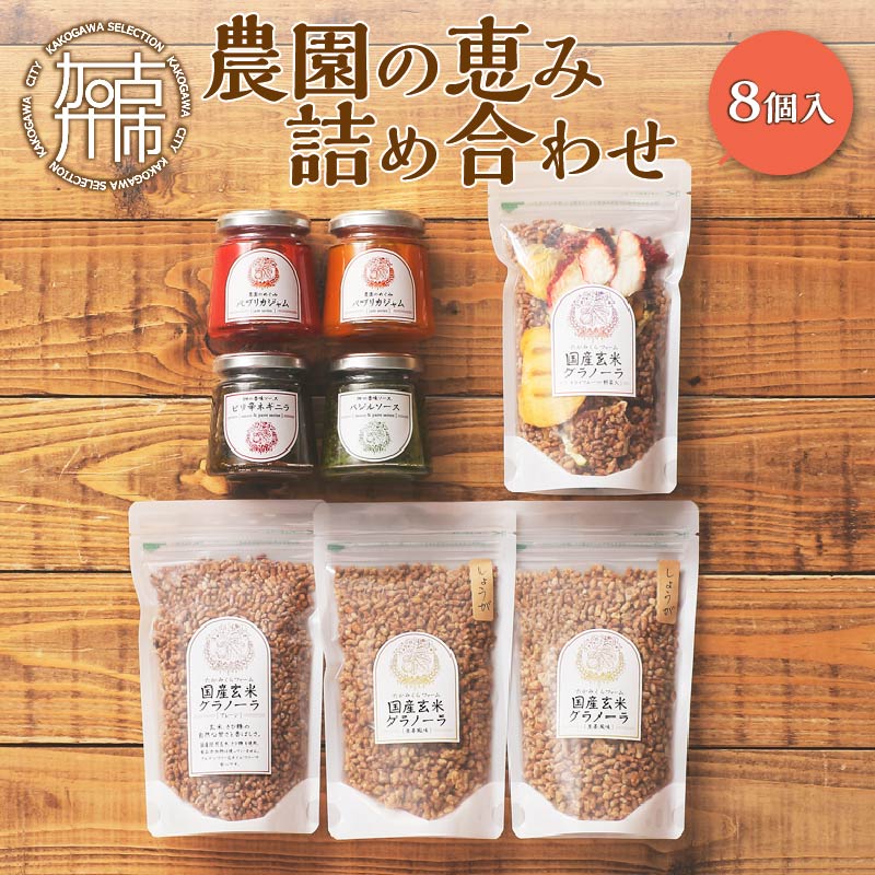 【ふるさと納税】農園の恵み詰め合わせ(8個入A）《 ジャム 調味料 8個 ドライフルーツ グラノーラ ジャム 玄米 国産 おすすめ セット 詰め合わせ プレゼント 贈答用 農薬 化学肥料不使用 ふるさと納税 》のサムネイル