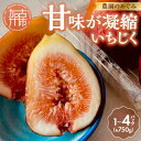 【ふるさと納税】【レビューキャンペーン】\選べる内容量/期間限定【農園のめぐみ】甘味が凝縮いちじく750g 1~4パック