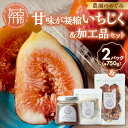【ふるさと納税】【レビューキャンペーン】期間限定【農園のめぐみ】甘味が凝縮いちじく750g×2・いちじく加工品セット《 数量限定 限定 果物 くだもの フルーツ いちじく 無花果 送料無料 》