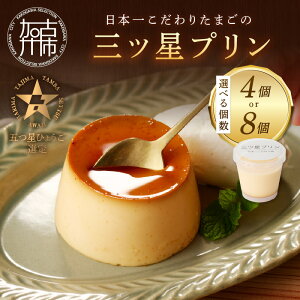 【ふるさと納税】\選べる 内容量/【五つ星ひょうご認定】日本一こだわりたまごの三ツ星プリン 4個 8個