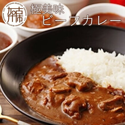 極美味ビーフカレー 4個セット＜レギュラー2個・マイルド2個＞《 おすすめ カレー 人気 レトルト 牛肉 ビーフカレー セット 詰め合わせ お取り寄せ グルメ 送料無料 》