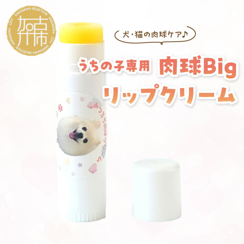 9位! 口コミ数「0件」評価「0」うちの子専用肉球 Bigリップクリーム 《 ペットグッズ 愛犬 ケア 国産みつろう100% オーガニック スティックタイプ 大容量 オーガニ･･･ 