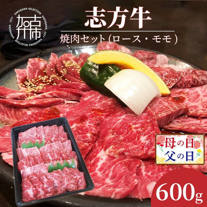 父の日 にも♪ 志方牛焼肉セット(600g)《 国産 牛肉 牛 国産牛 焼肉 ロース モモ お手軽 おいしい お取り寄せ グルメ 志方牛 送料無料 贈答用 ギフト プレゼント 贈り物 父の日 》