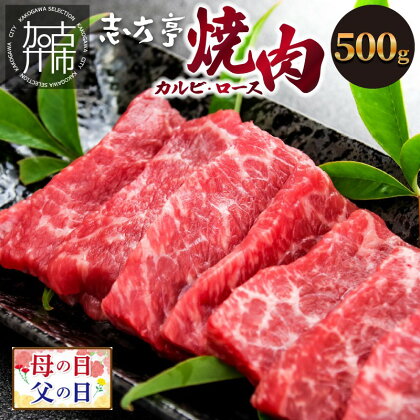 母の日 父の日 にも♪ 「志方牛」焼肉(500g)《 焼肉 カルビ ロース 牛肉 志方亭 500g 国産 バーベキュー 和牛 牛 おすすめ こだわり 贈答用 スタミナ 赤身 タレ付き 送料無料 BBQ 贈答用 ギフト プレゼント 贈り物 母の日 父の日 》